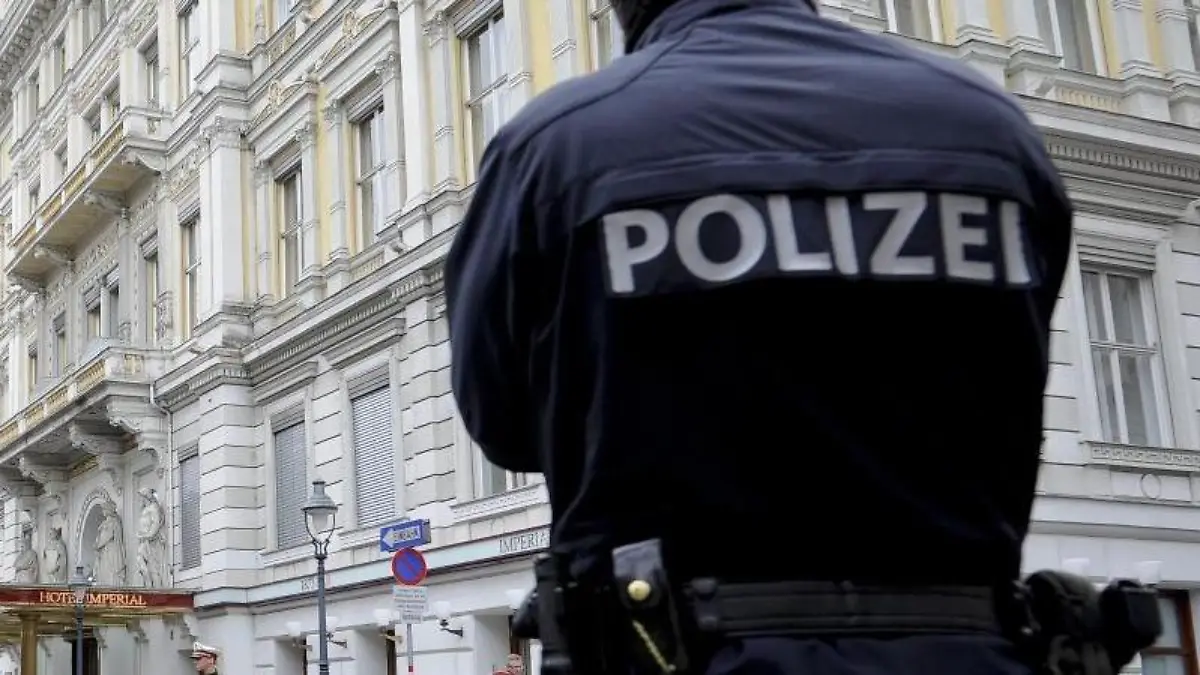 Die Polizei in Wien hat ihre Einsatzbereitschaft erhöht. Foto: Herbert Neubauer/Archiv