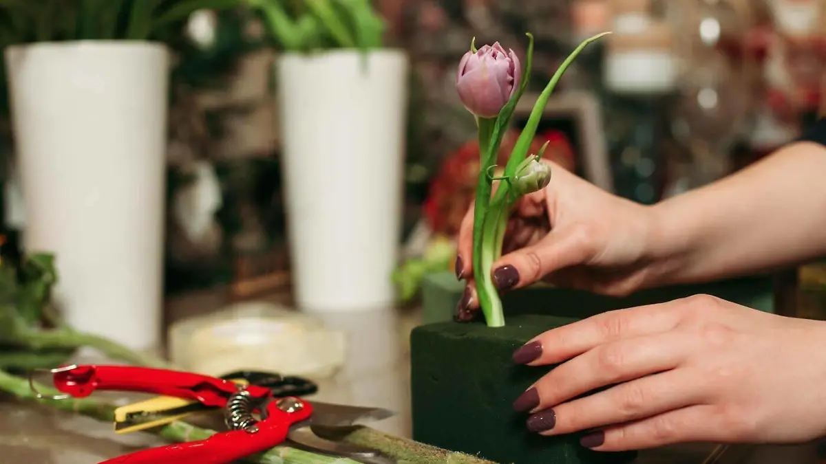 IMAGO Creative: Jahreszeit Frühling, Frühlingsanfang am 20. März Female florist working with flowers model released, Symbolfoto, 06.02.2020 04:56:40, Copyright: xNomadSoulx Panthermedia28086660