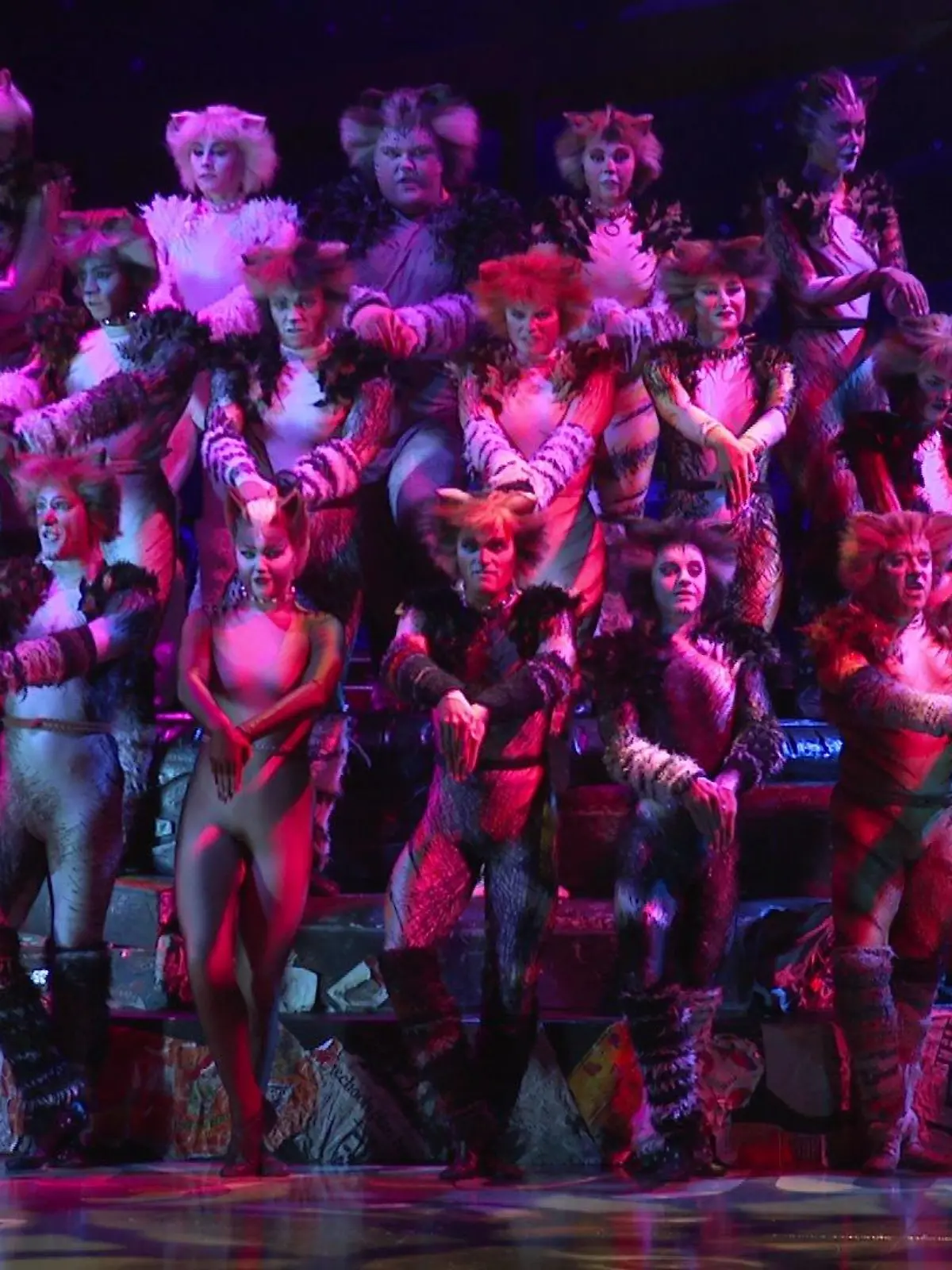Bild zu: "Kultmusical „Cats“ in Düsseldorf"