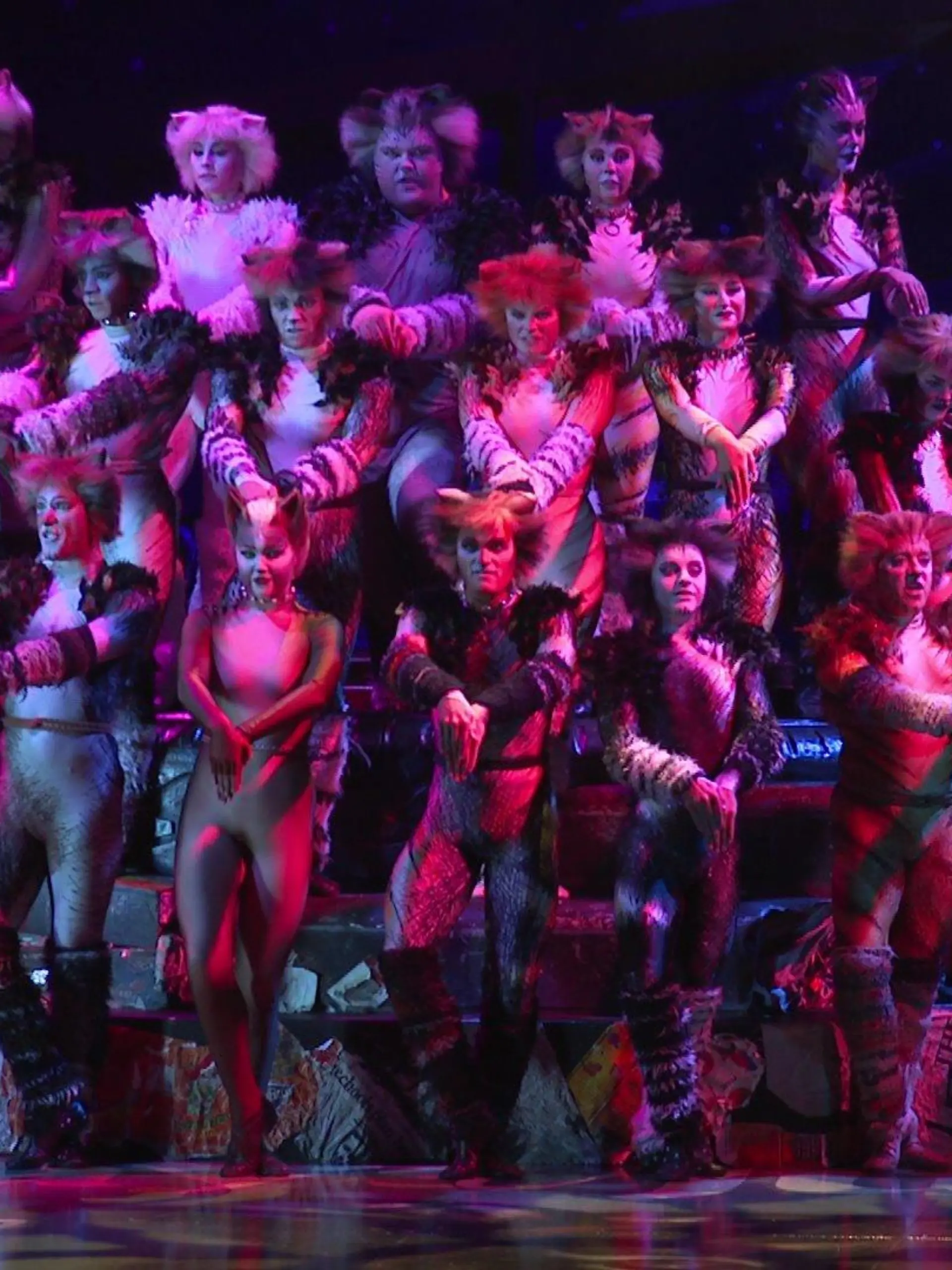 Bild zu: "Kultmusical „Cats“ in Düsseldorf"