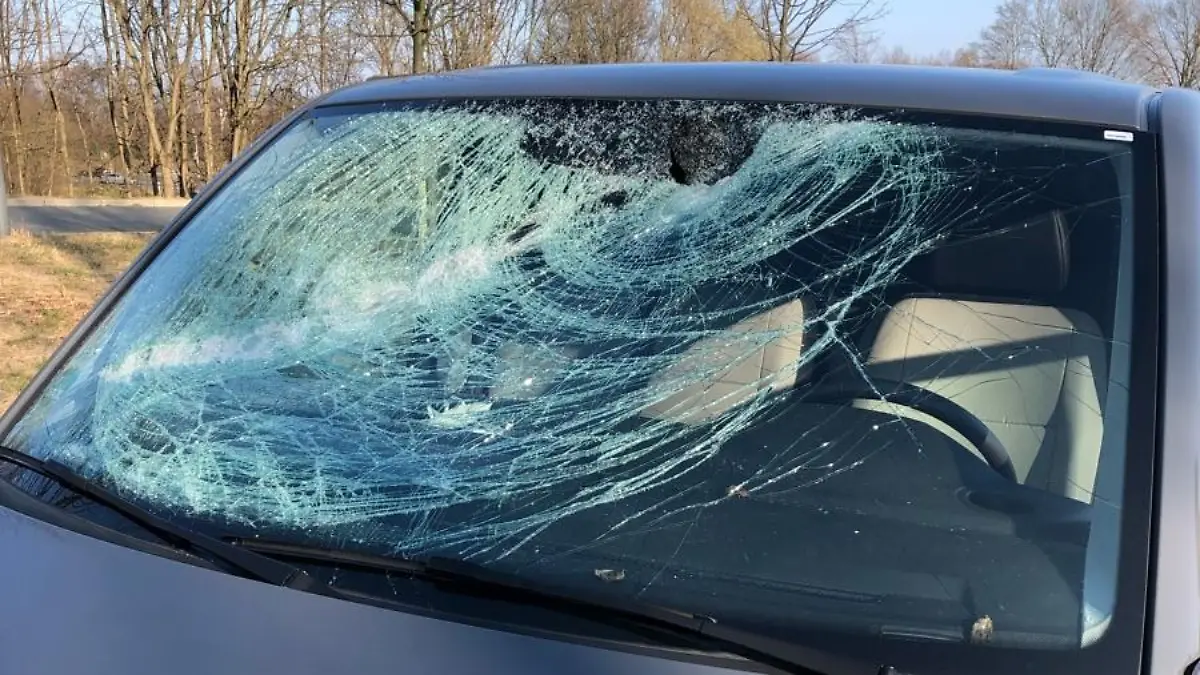 Der Ast verursachte einen massiven Schaden.