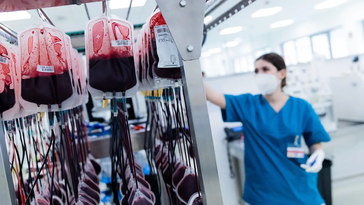 PRODUKTION - 15.02.2022, Nordrhein-Westfalen, Hagen: Blutkonserven werden im Zentrallabor des DRK-Blutspendedienstes für Krankenhäuser und Praxen gefiltert und aufbereitet. Im nordrhein-westfälischen Gelsenkirchen fand am 29. Februar 1952 der wohl bundesweit erste offizielle Blutspendetermin des Deutschen Roten Kreuzes statt. (Zu dpa: "Grubenunglück als Startsignal - 70 Jahre Blutspenden in Deutschland" - Wiederholung vom 22.02.2022) Foto: Rolf Vennenbernd/dpa +++ dpa-Bildfunk +++