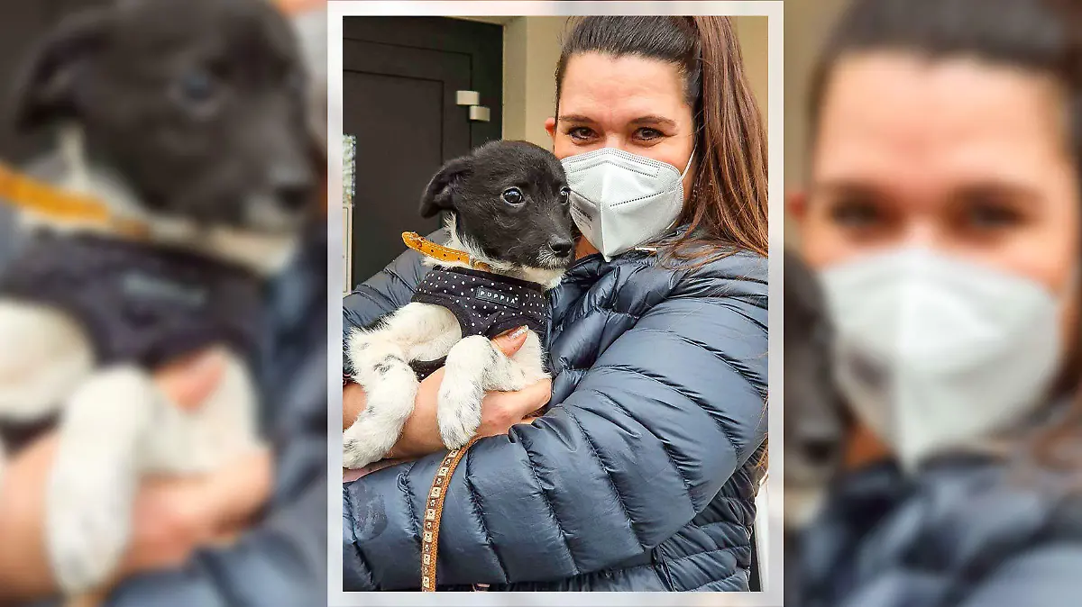 Yoda aus dem Tierheim Bergheim wurde adoptiert!