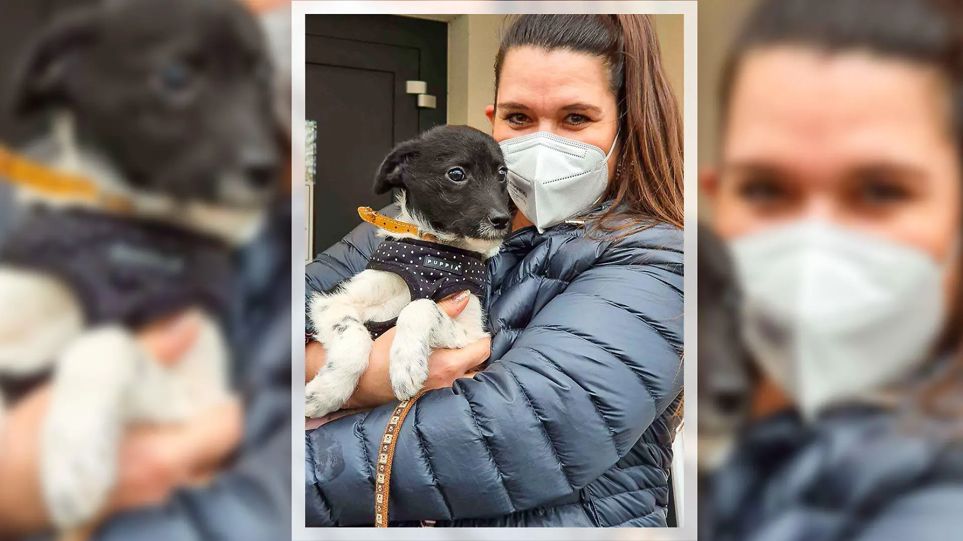 Yoda aus dem Tierheim Bergheim wurde adoptiert!