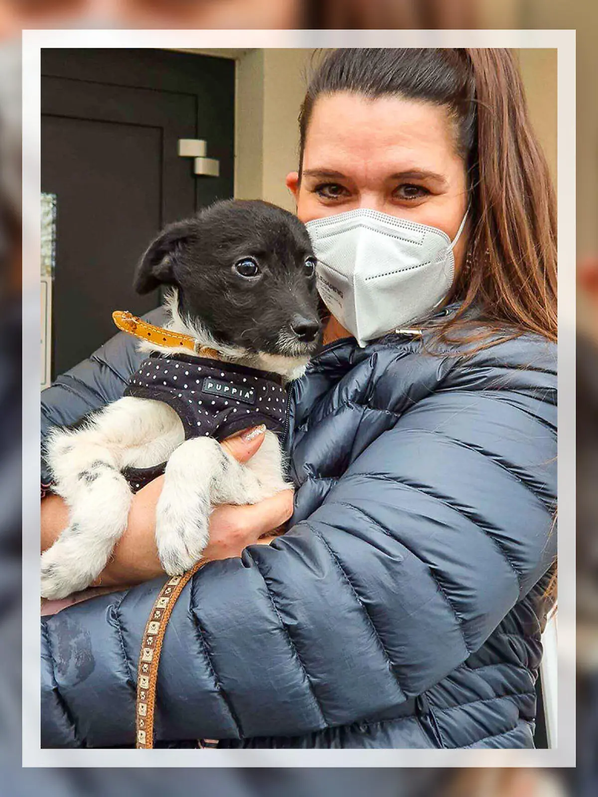 Yoda aus dem Tierheim Bergheim wurde adoptiert!