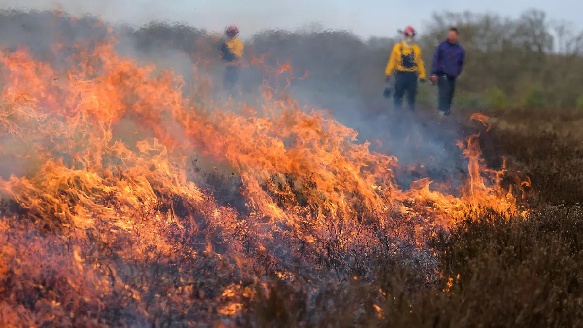 03.03.2022, Niedersachsen, Behringen: Feuerwehrleute überwachen das Abbrennen einer Heidefläche. Die Stiftung Naturschutzpark Lüneburger Heide legt jeden Winter gezielt Feuer. Für Tier- und Pflanzenwelt hat das Brennen den Vorteil, dass Nährstoffe im Boden bleiben. Foto: Philipp Schulze/dpa +++ dpa-Bildfunk +++