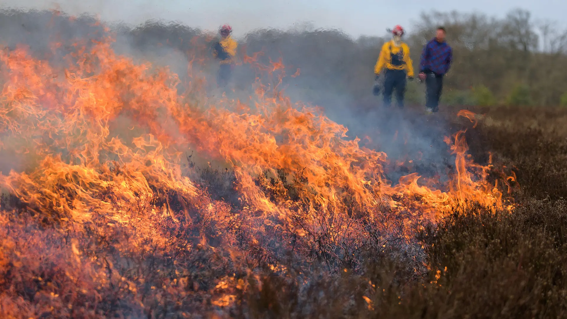 03.03.2022, Niedersachsen, Behringen: Feuerwehrleute überwachen das Abbrennen einer Heidefläche. Die Stiftung Naturschutzpark Lüneburger Heide legt jeden Winter gezielt Feuer. Für Tier- und Pflanzenwelt hat das Brennen den Vorteil, dass Nährstoffe im Boden bleiben. Foto: Philipp Schulze/dpa +++ dpa-Bildfunk +++