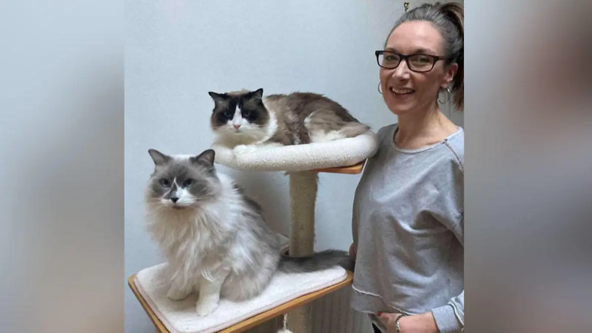 Während der Corona-Quarantäne werden Bruce und sein Bruder Bernie auch ausgiebig gekrault - dabei müssen sie sich angesteckt haben. Bruce hätte das fast das Leben gekostet.