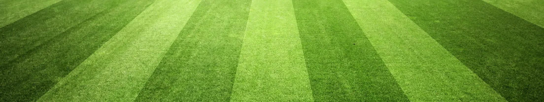 Sport_Header_Fußball_DT.png