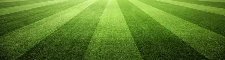 Sport_Header_Fussball_M.png