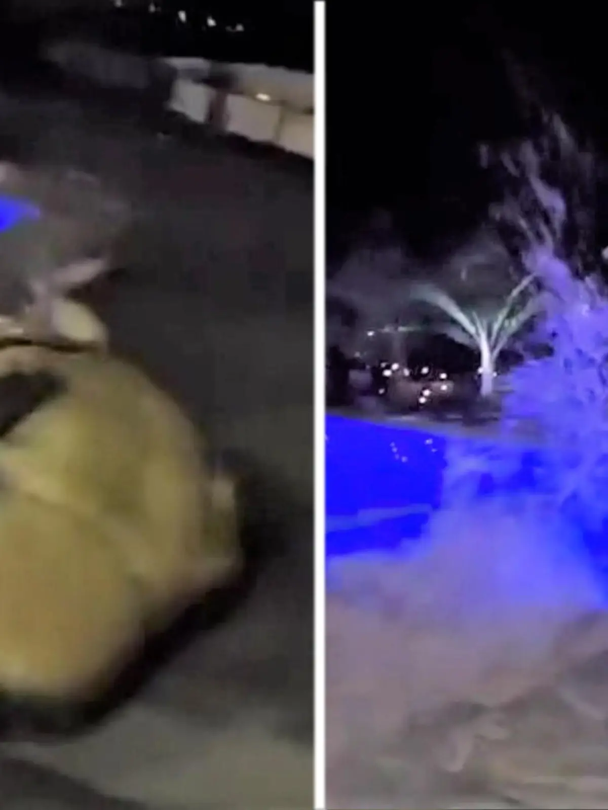 Ein Krokodil hatte es sich in einem privaten Pool im amerikanischen Plantation Key (Florida) gemütlich gemacht. Wildtier-Profis versuchen, den tierischen Einbrecher zurück in die Natur zu bringen.