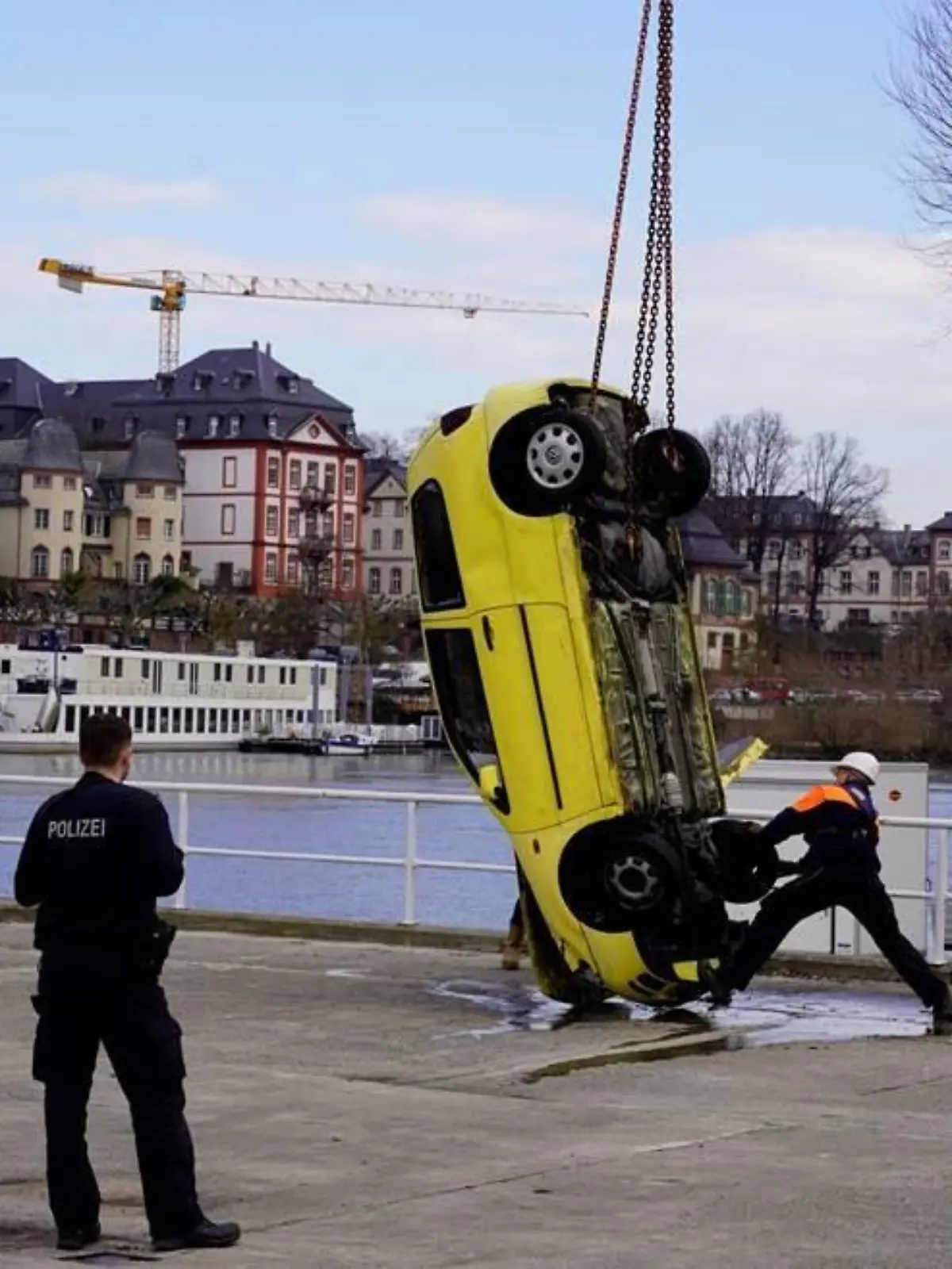 Auto im Main.