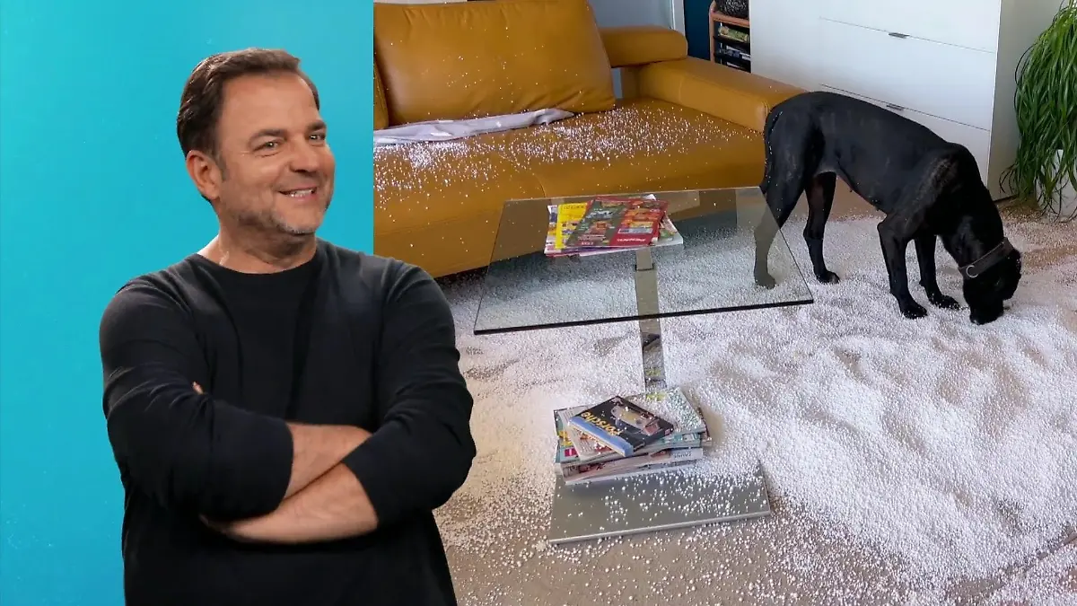 Hündin Cora hat Spaß mit dem Sitzsack der Müllers. Und Martin Rütter? Der feiert's!