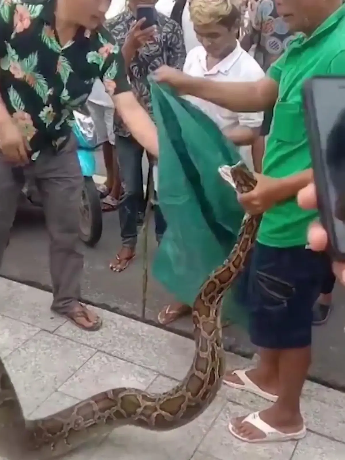 Dinge, die man nach dem Einkaufen nicht an seinem Auto sehen will: Parktickets, Kratzer im Lack und….eine 3,50 Meter lange Python! Hierzulande ist letzteres wohl nicht so wahrscheinlich, in Kambodscha ist es aber Realität geworden.