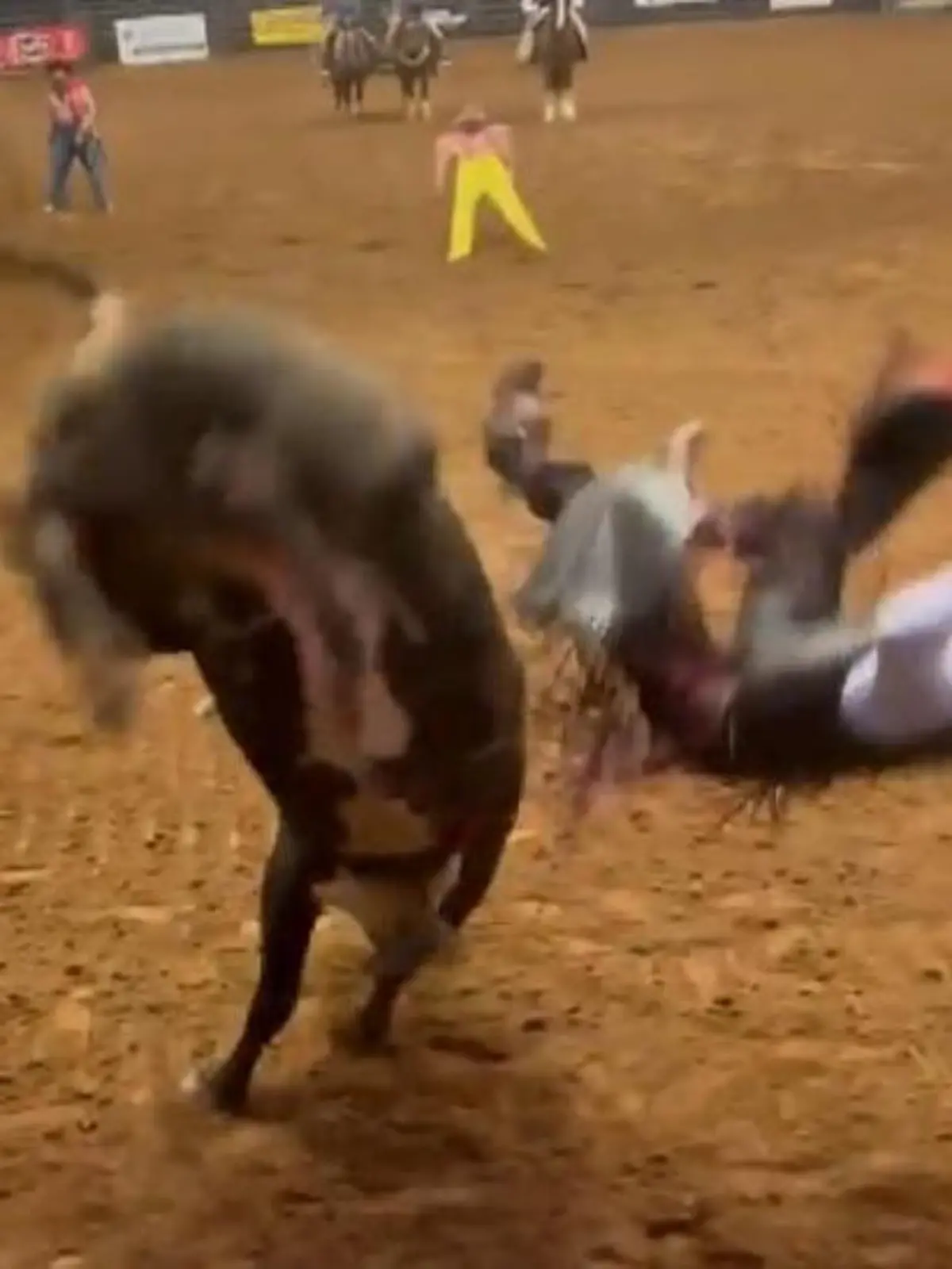 Ein Vater eilt seinem Sohn zur Hilfe, nachdem ein Stier ihn beim Rodeo auf den Boden geworfen hat und droht, den Teenager anzugreifen. Selbst Stierkämpfer bekommen das wilde Tier nicht in den Griff. Papa bekommt am Ende einen ordentlichen Hörnerstoß verpasst.