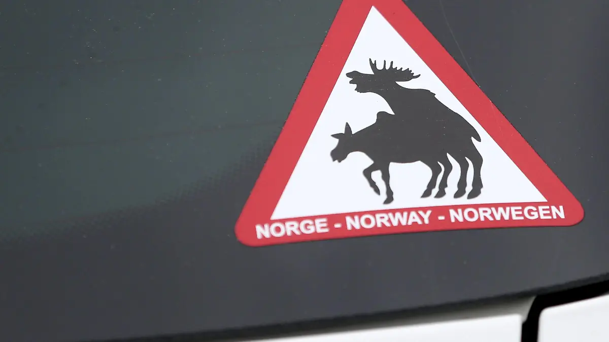 Elche 09.06.15 , Erfurt, Aufkleber an einem Auto - Elche beim Sex / Paarung / Norwegen / Achtung / lustig
Elche 09 06 15 Erfurt Sticker to a Car Elche the Sex Pairing Norway Regard funny