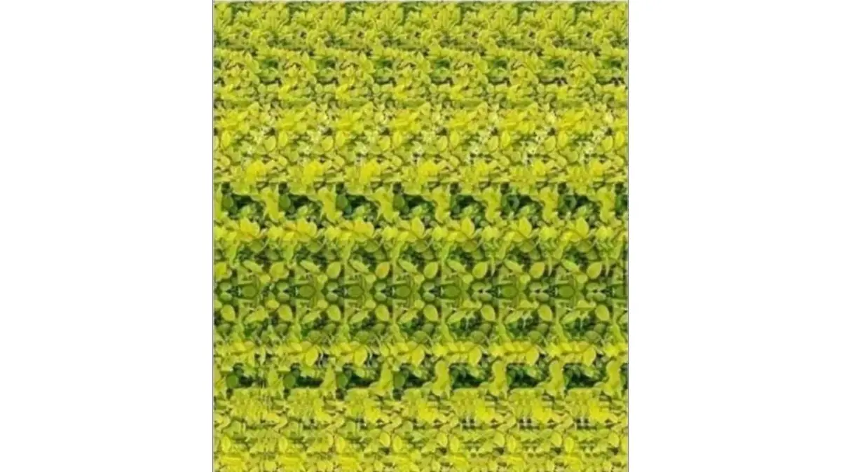 Haben Sie des Rätsels Lösung?