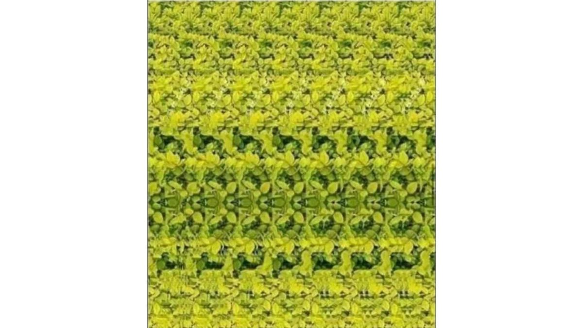 Optische Täuschung mit 3D-Illusion: Finden Sie das Tier im Blätterhaufen?