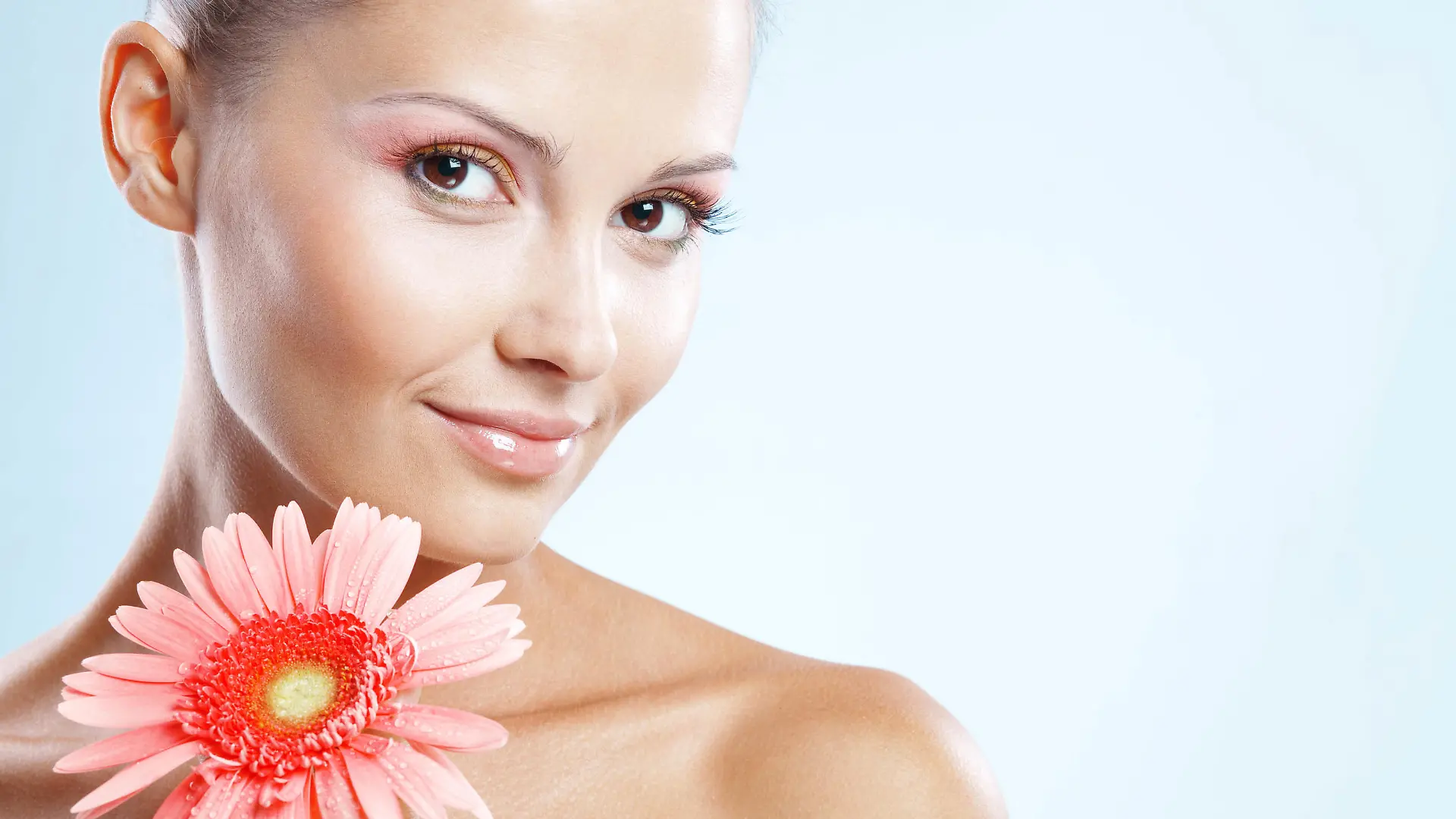 Beautiful female with fresh makeup and clear skin holding pink daisy over blue studio shot, Die schoene Frau mit dem frischen Make-Up und der reinen Haut, die rosa Gaensebluemchen ueber das blaue Studio haelt, schoss Keine Weitergabe an Drittverwerter.