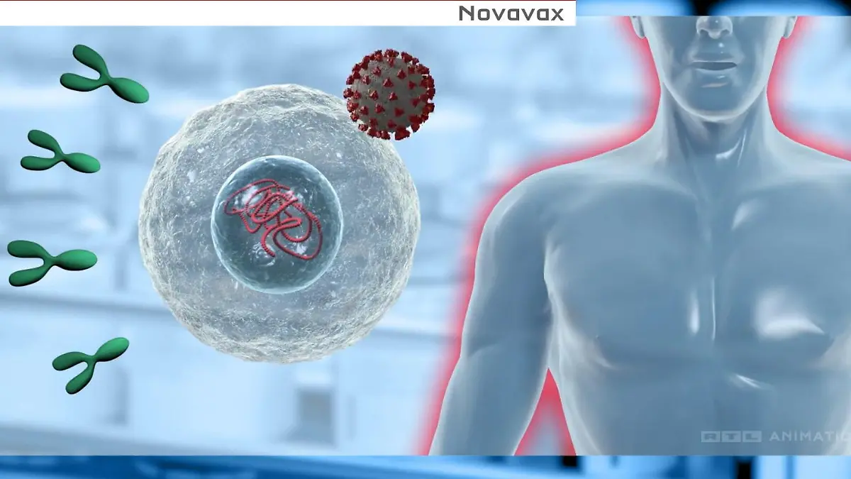 Was kann Novavax? Alles zum Proteinimpfstoff