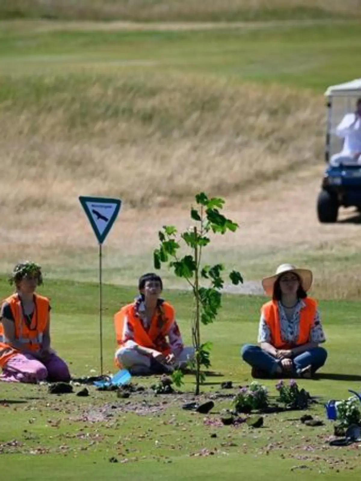 Aktivisten der Letzten Generation pflanzen einen Baum auf dem Golf-Platz Budersand auf Sylt.