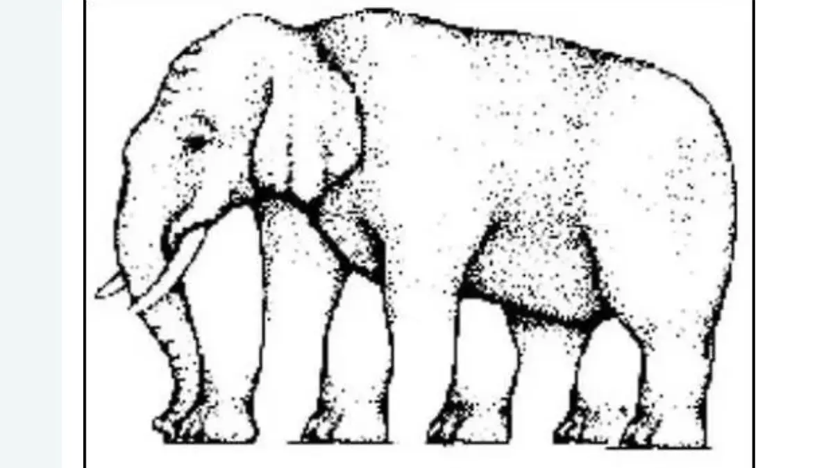 Optische Täuschung Elefant