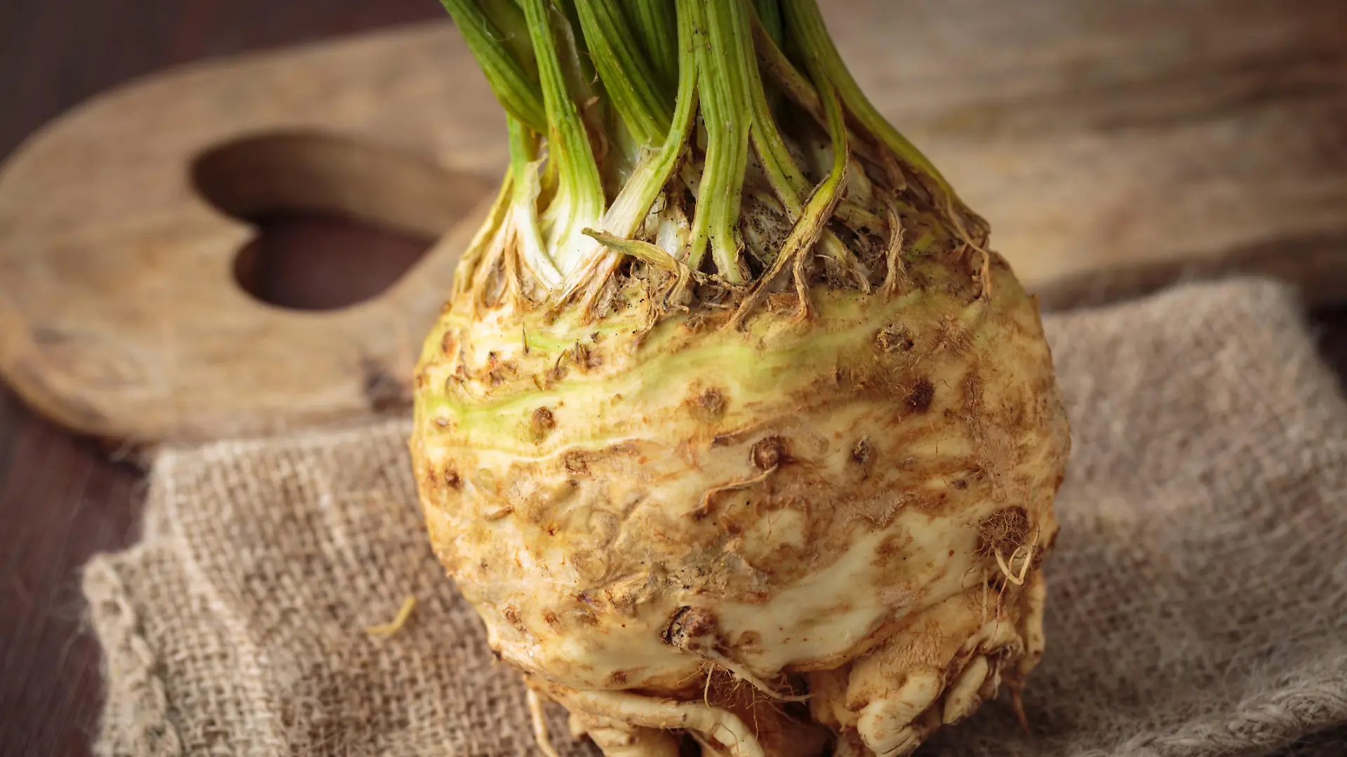 Fresh raw celeriac for an healthy nutrition
