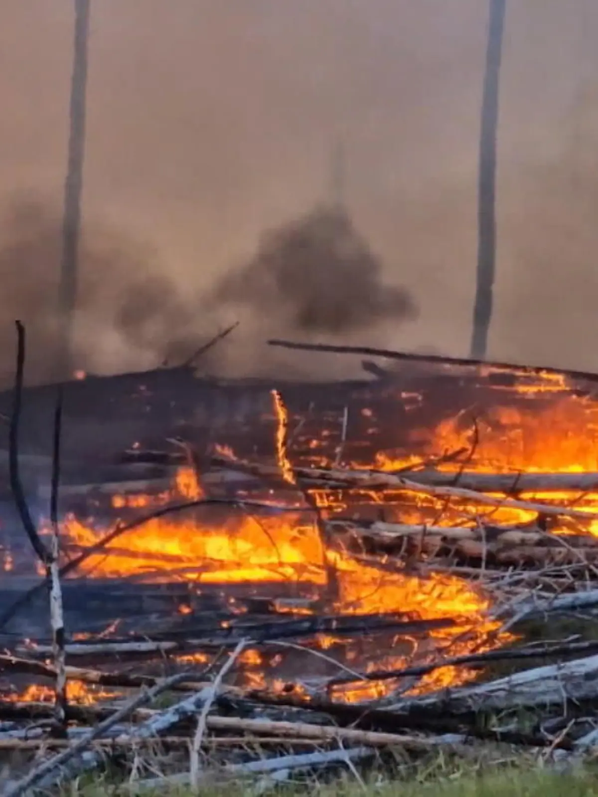 Die Flammen fressen sich immer weiter durch Mecklenburg-Vorpommern: Zwei große Waldbrände wüten im Südwesten des Landes, am Montagabend musste sogar ein Dorf mit rund 160 Einwohnern evakuiert werden. Die Feuer wüten vor allem auf früherem Militärgelände, dort kam es zu Detonationen.