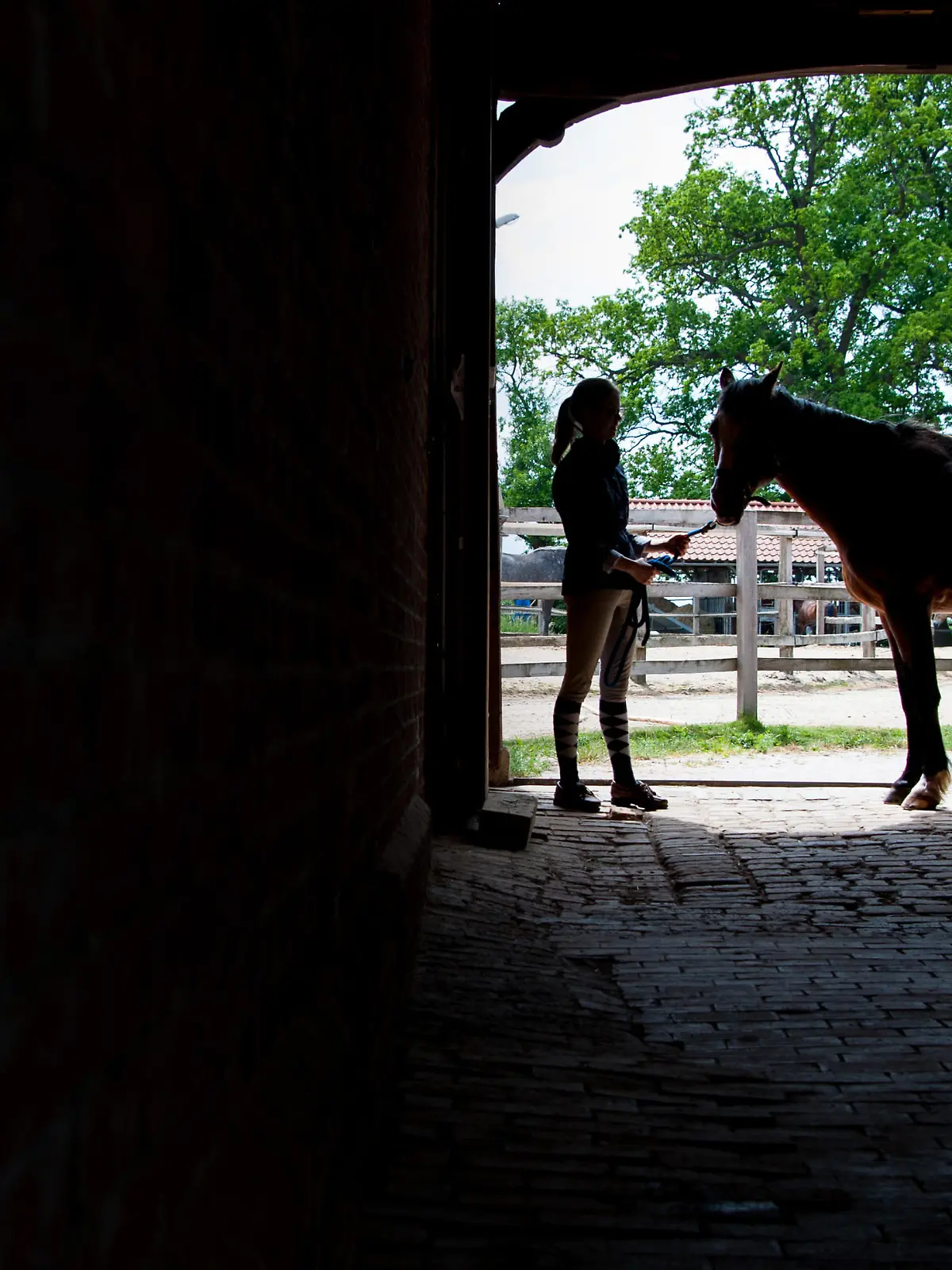 Eine junge Frau geht am 24.05.2015 mit ihrem Pferd, Ben, durch ein Tor auf einem Hof bei Sehnde in der Region Hannover (Niedersachsen). Mit dem deutschen Wallach reitet sie regelmäßig bei schönem Wetter aus. Foto: Hauke-Christian Dittrich/dpa