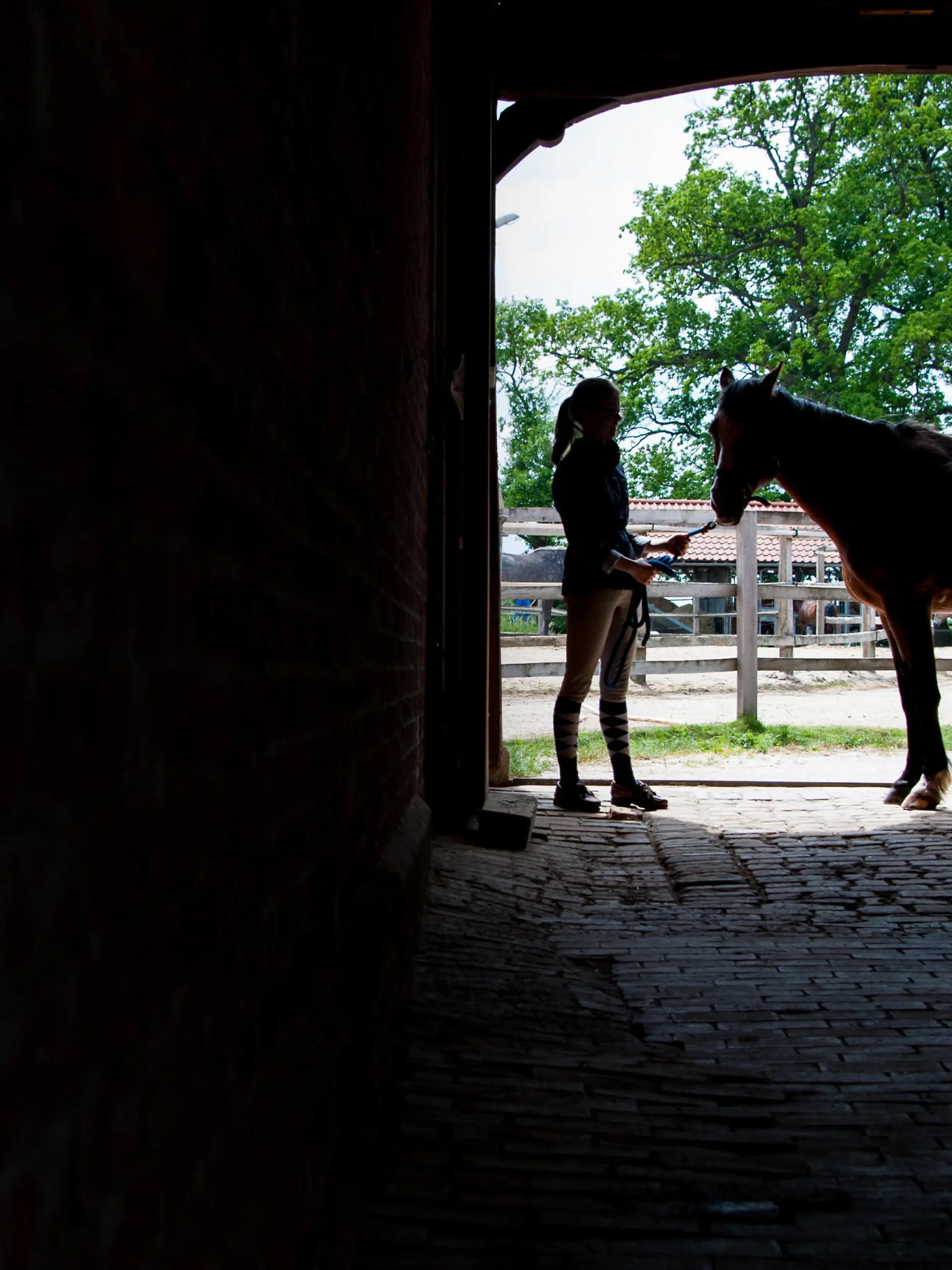 Eine junge Frau geht am 24.05.2015 mit ihrem Pferd, Ben, durch ein Tor auf einem Hof bei Sehnde in der Region Hannover (Niedersachsen). Mit dem deutschen Wallach reitet sie regelmäßig bei schönem Wetter aus. Foto: Hauke-Christian Dittrich/dpa