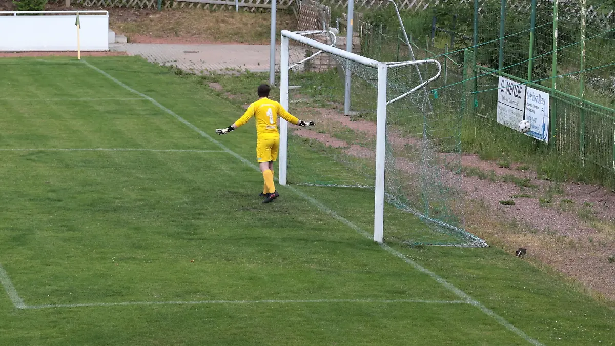 Tor verfehlt, Bienenschwarm getroffen. Der Stürmer des SV Tanne Thalheim 2. jagte den Ball ins falsche Ziel.