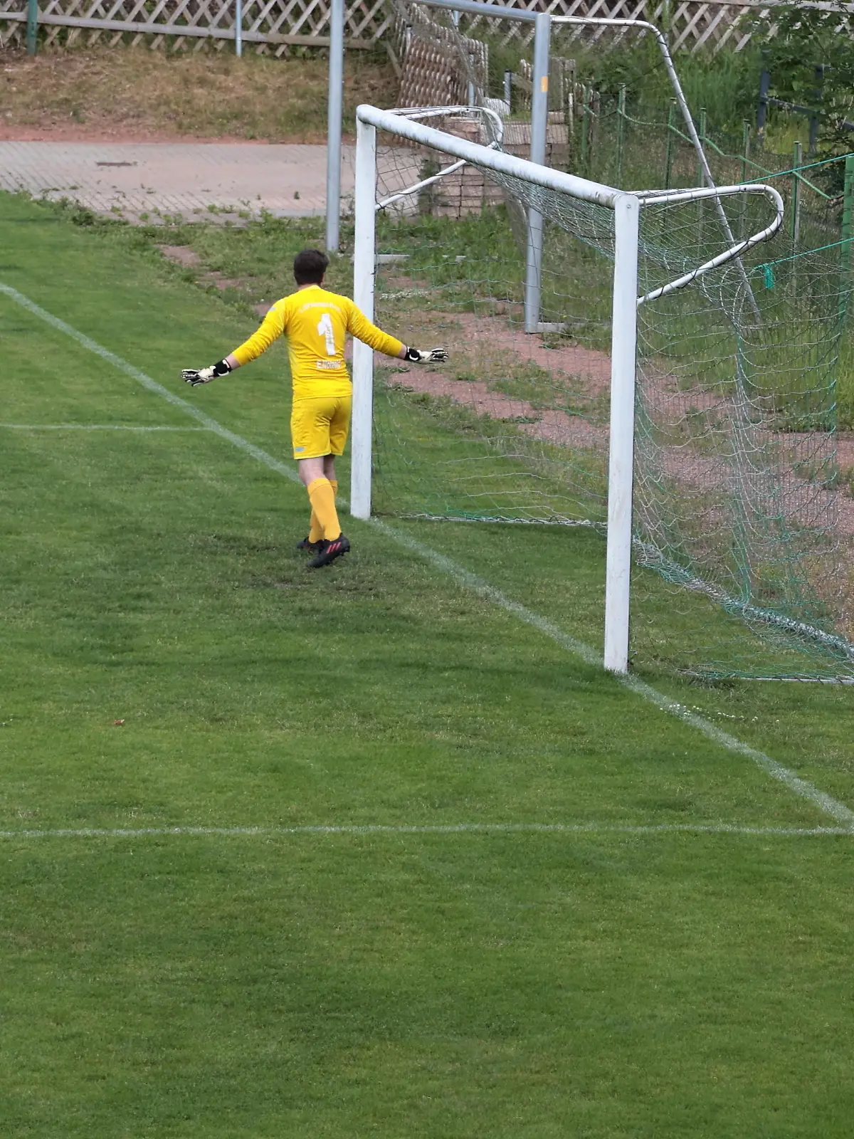 Tor verfehlt, Bienenschwarm getroffen. Der Stürmer des SV Tanne Thalheim 2. jagte den Ball ins falsche Ziel.