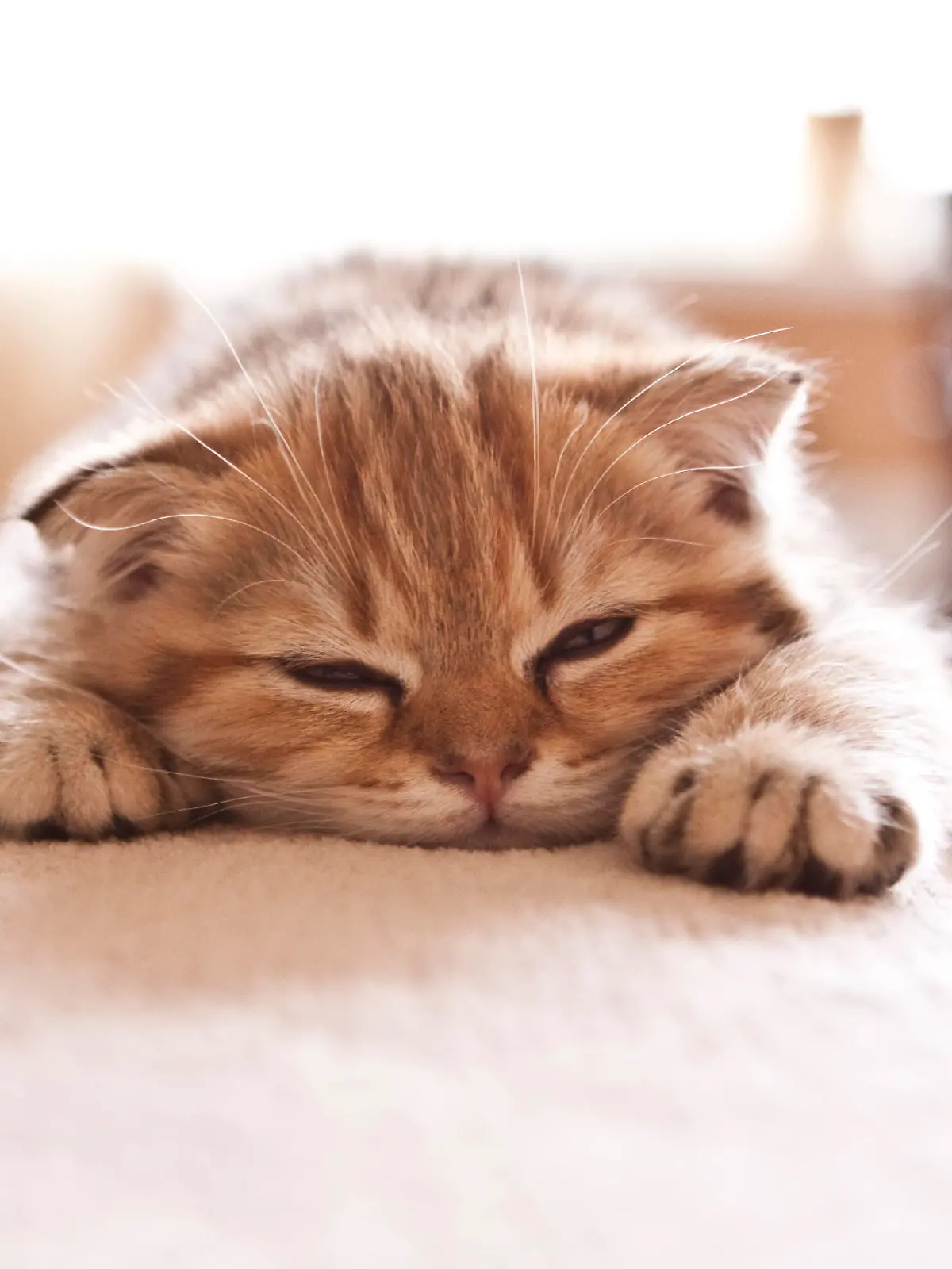 iStock 000043456776 Large.jpg