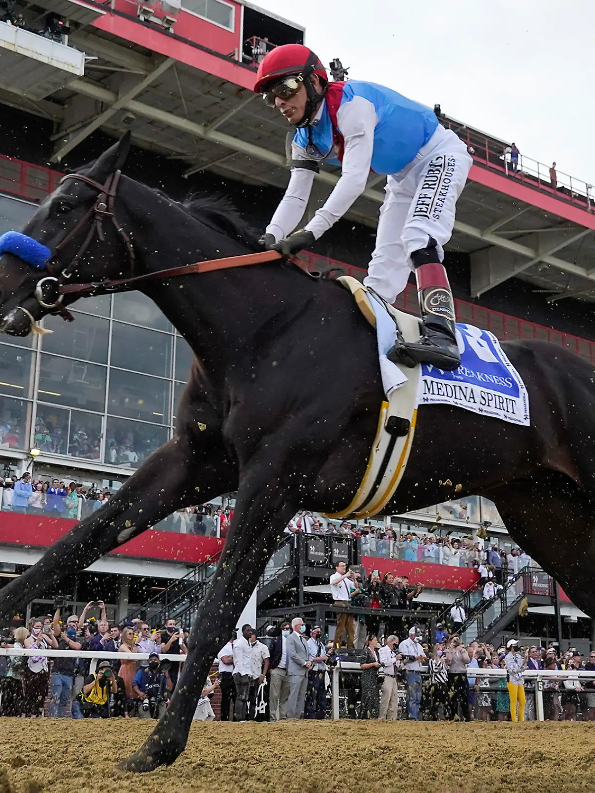FILE - John Velazquez atop Medina Spirit competes during the 146th Preakness Stakes horse race at Pimlico Race Course, Saturday, May 15, 2021, in Baltimore. A necropsy on 2021 Kentucky Derby winner Medina Spirit showed no definitive cause of death. The California Horse Racing Board on Friday, Feb. 11, 2022, released the results of the examination done after the colt collapsed and died after a workout on Dec. 6 at Santa Anita. (AP Photo/Julio Cortez, File)