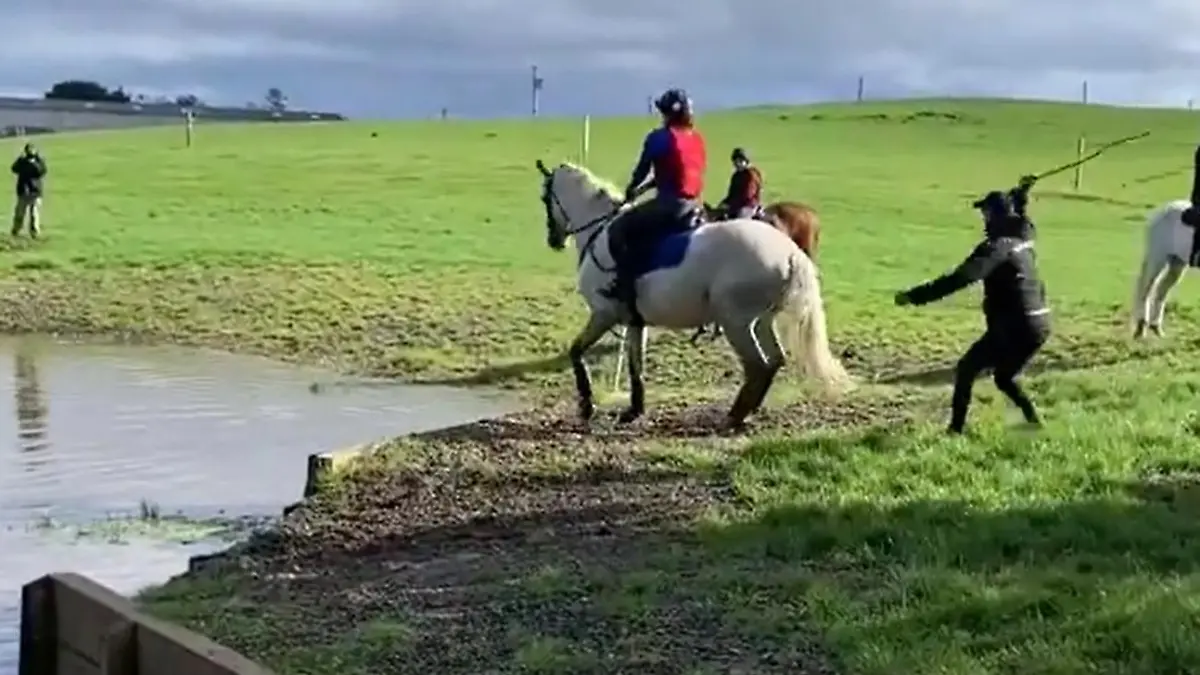 Mark Todd schlägt auf Pferd ein.