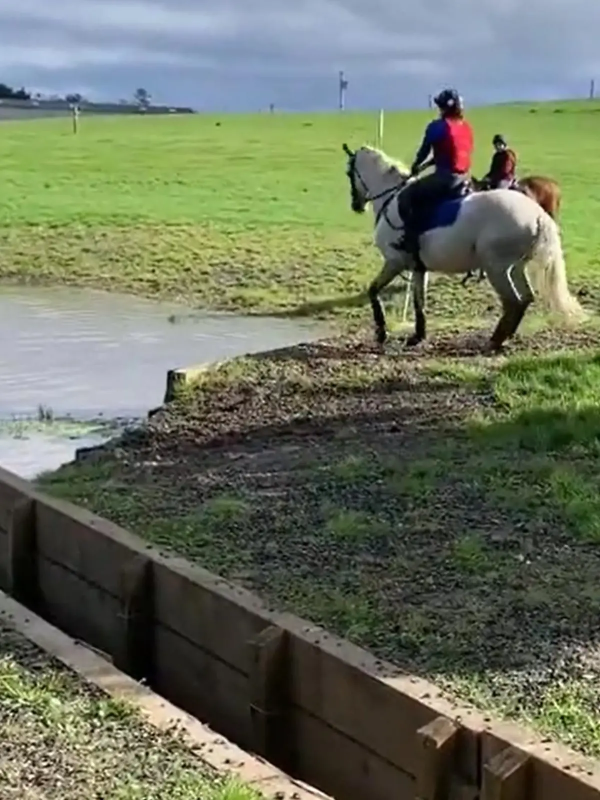 Mark Todd schlägt auf Pferd ein.