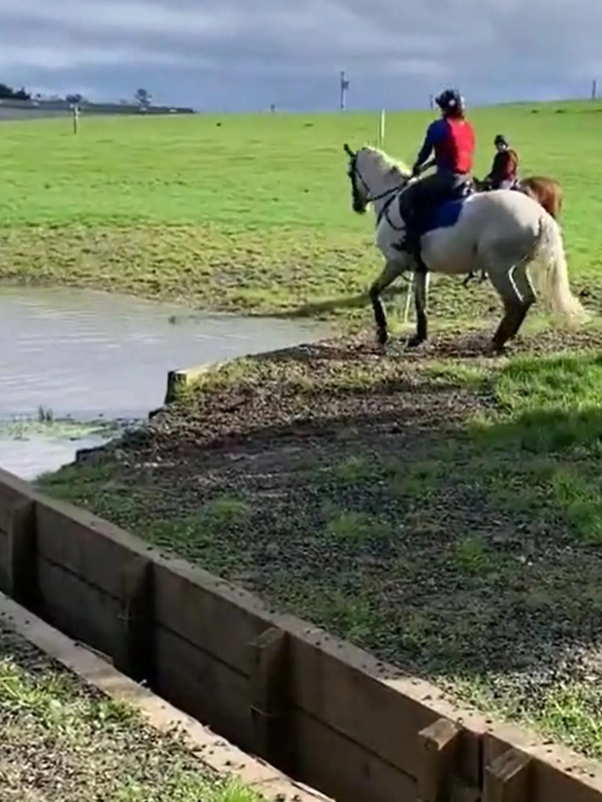 Mark Todd schlägt auf Pferd ein.