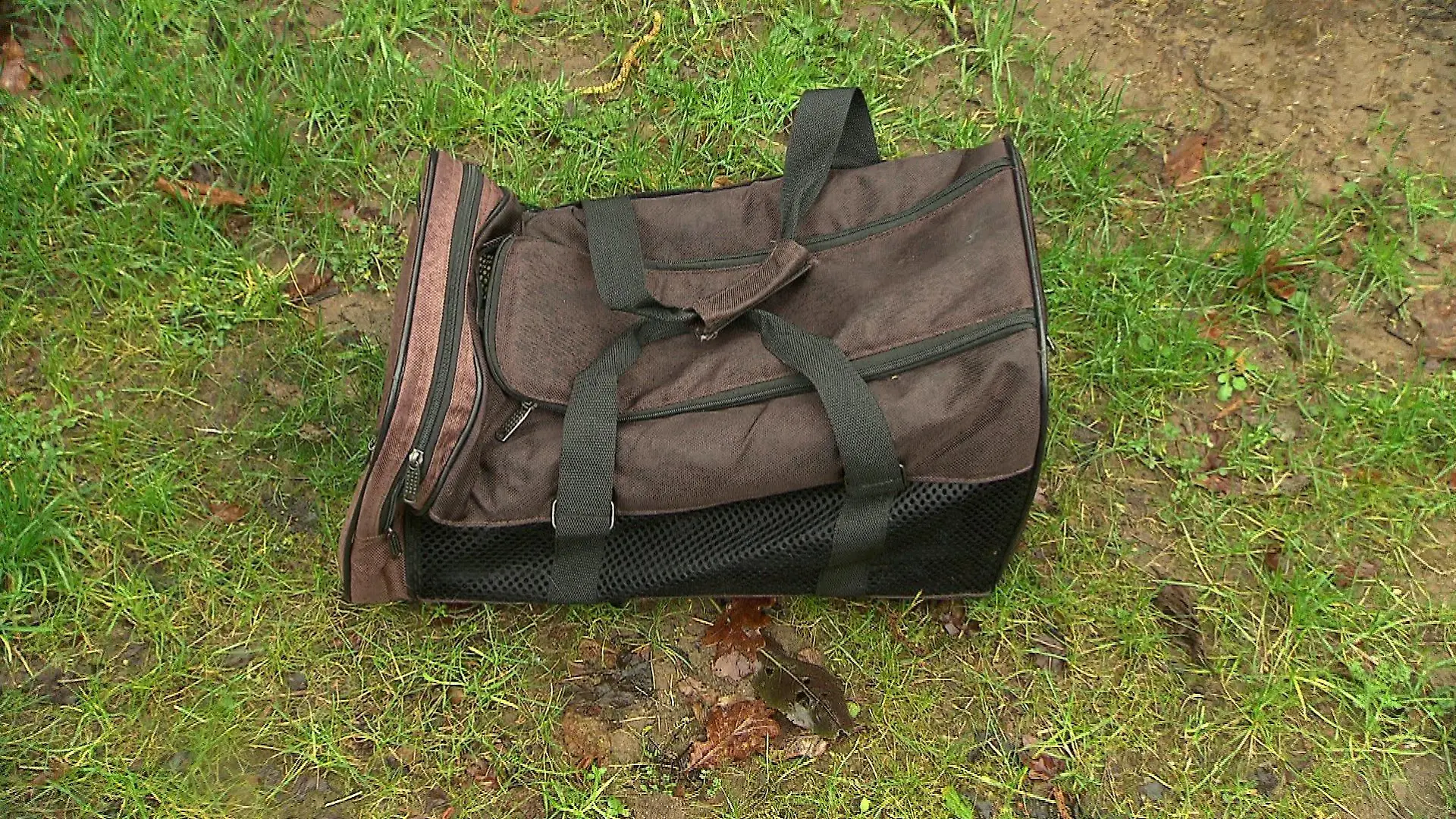 In dieser braunen Tasche wurden die Tiere gefunden