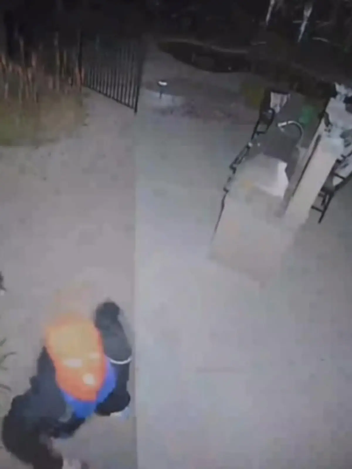 In Goodyear in Arizona haben 150 Jugendliche eine leer stehende Villa gestürmt und eine wilde Party gefeiert.