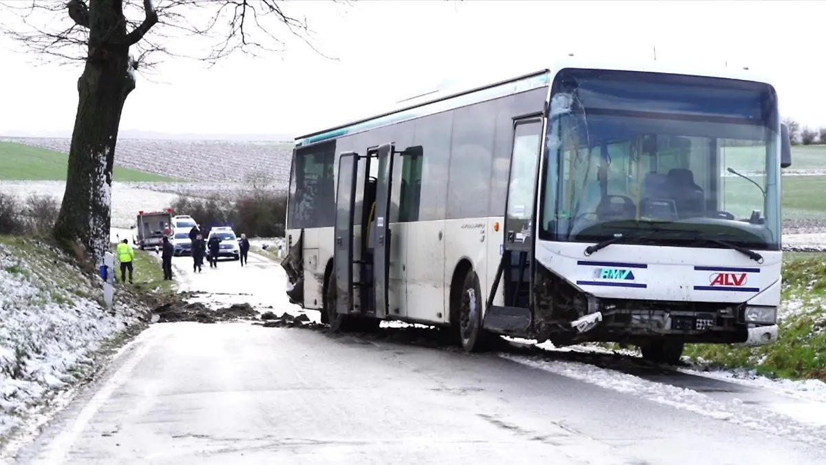 Gerade noch am Baum vorbeigeschrammt: Möglicherweise hätte der Unfall noch viel schlimmer ausgehen können.