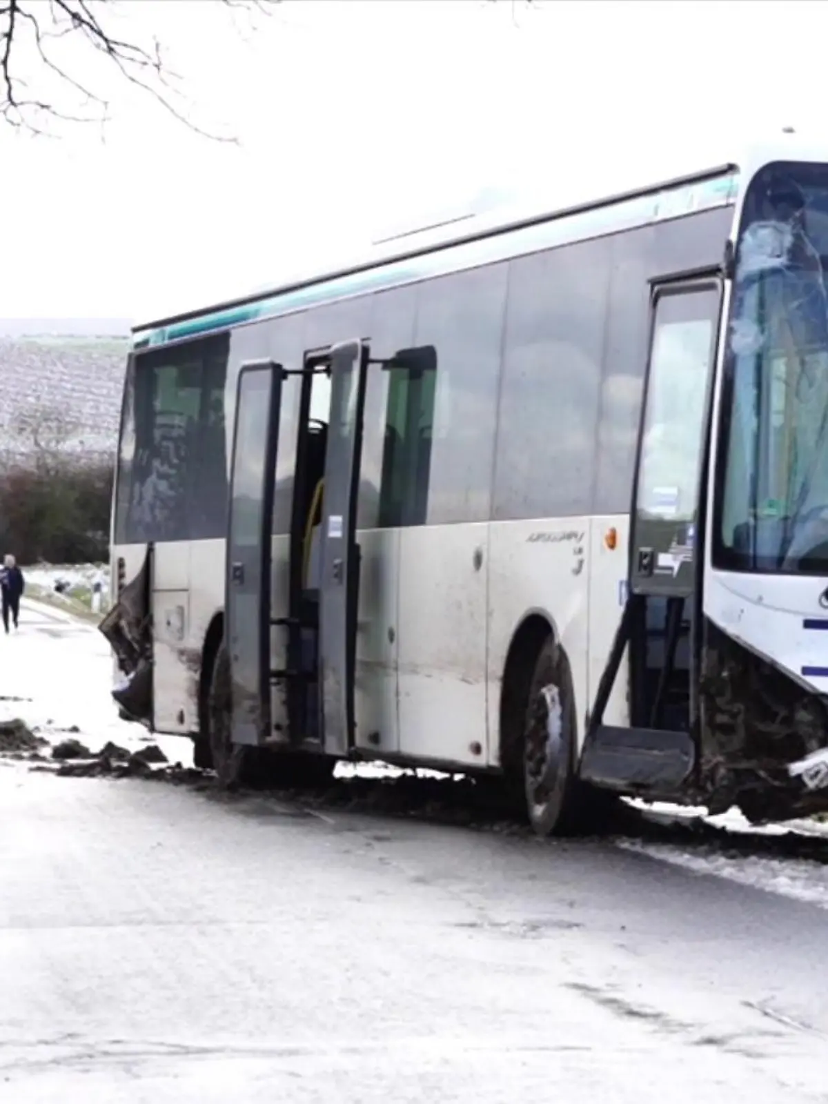 Gerade noch am Baum vorbeigeschrammt: Möglicherweise hätte der Unfall noch viel schlimmer ausgehen können.