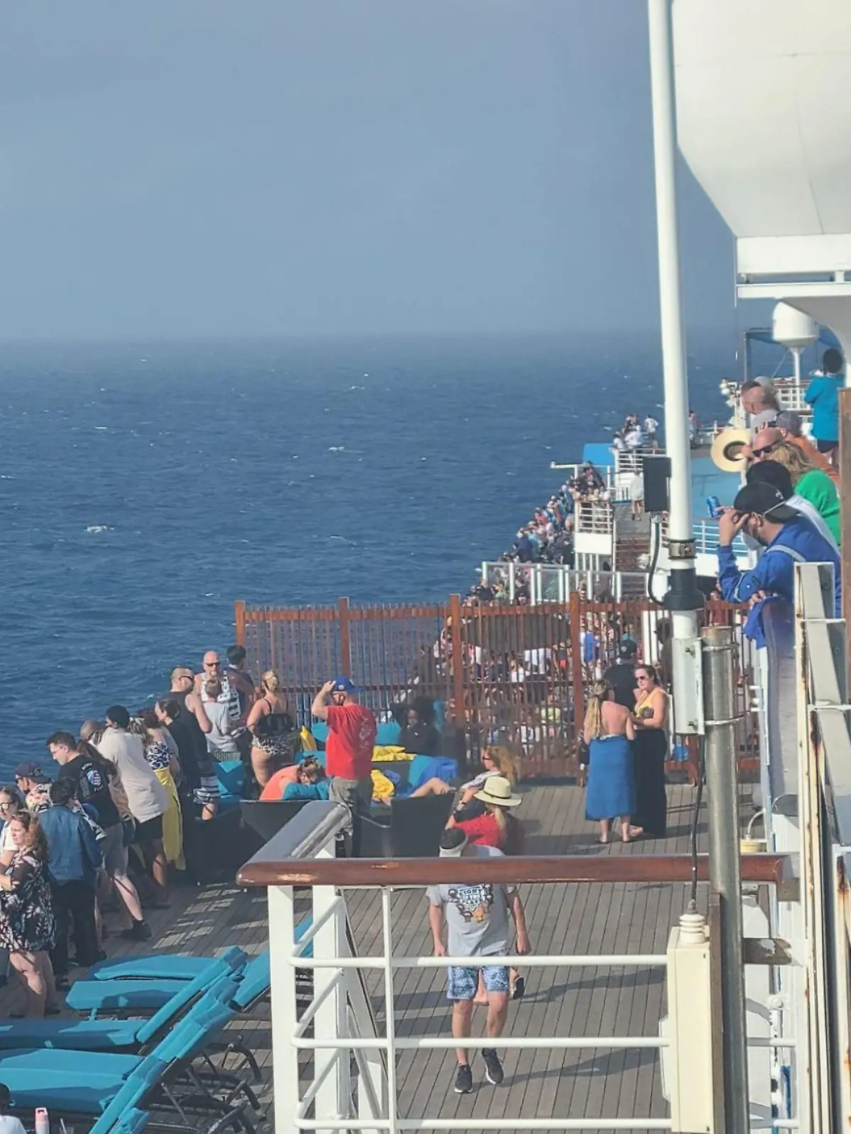 Eine 32-Jährige ist von dem Kreuzfahrtschiff "Carnival Valor" gesprungen.
