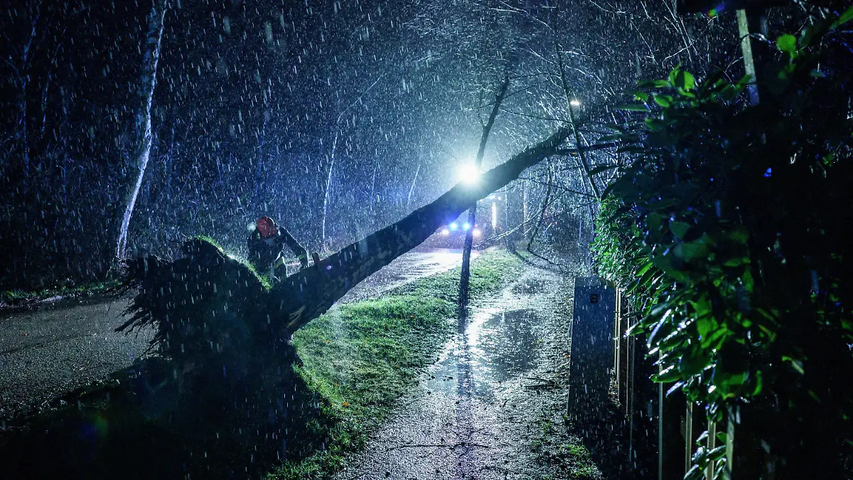 18.02.2022, Schleswig-Holstein, Kiel: Einsatzkräfte der Freiwilligen Feuerwehr Kiel-Russee, ziehen im strömenden Regen einen von Windböen umgeknickten Baum mit einem Seil auf den Boden. Foto: Axel Heimken/dpa +++ dpa-Bildfunk +++