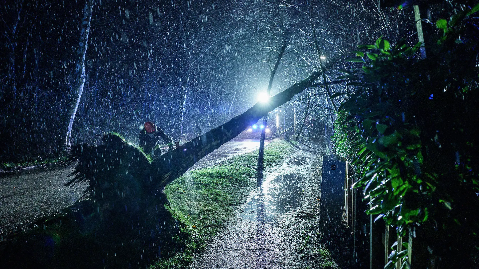 18.02.2022, Schleswig-Holstein, Kiel: Einsatzkräfte der Freiwilligen Feuerwehr Kiel-Russee, ziehen im strömenden Regen einen von Windböen umgeknickten Baum mit einem Seil auf den Boden. Foto: Axel Heimken/dpa +++ dpa-Bildfunk +++