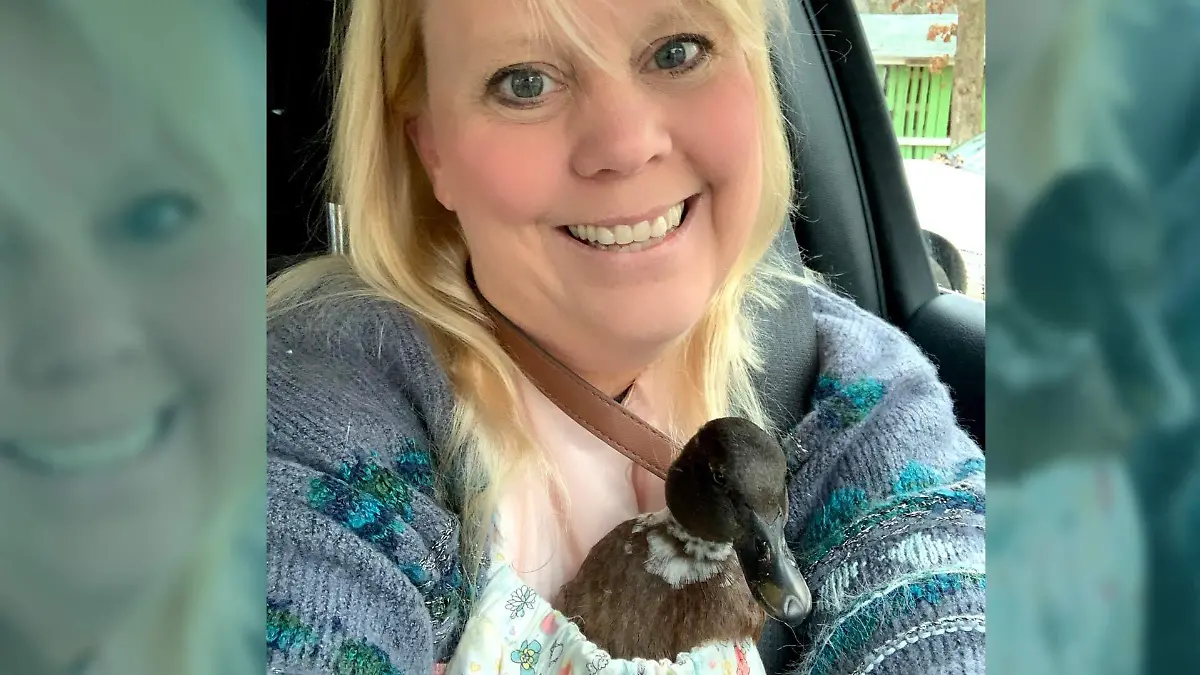 Die 51-jährige Holly Mead hat schon etliche Tiere gerettet.