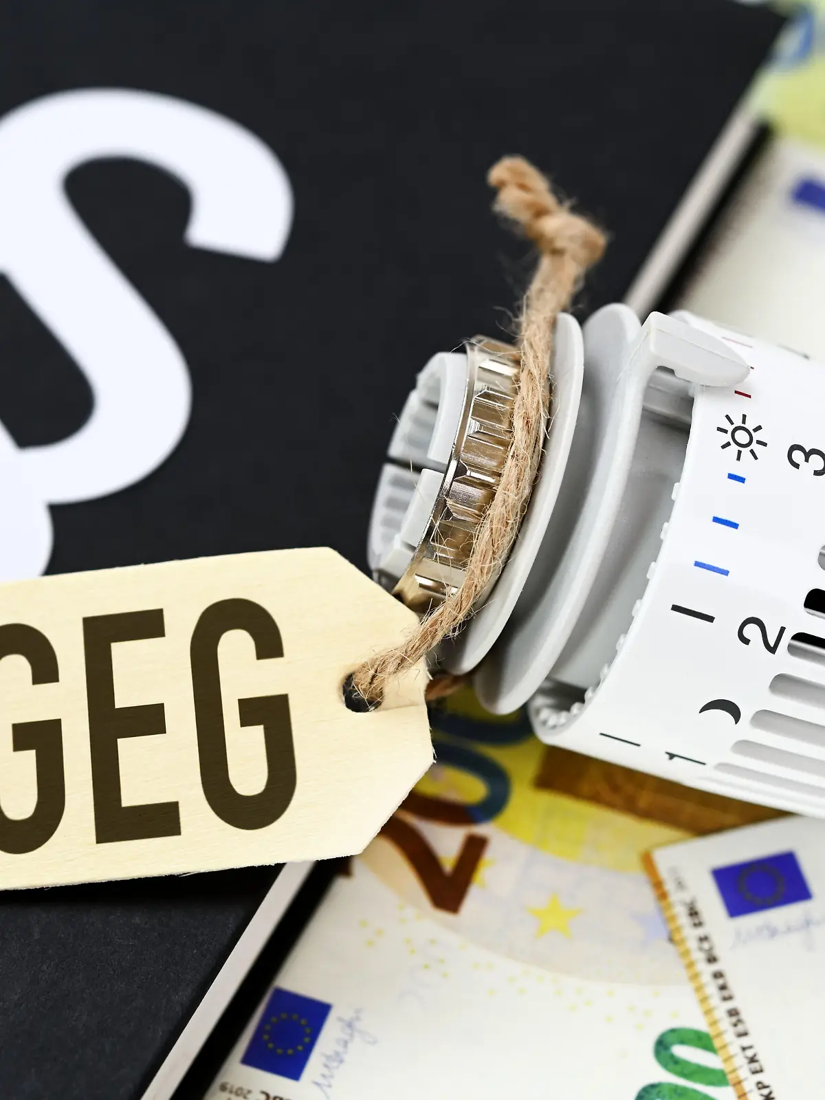 Heizungsthermostat mit Etikett und Aufschrift GEG auf Gesetzbuch und Geldscheinen, Symbolfoto Heizungsgesetz / action press