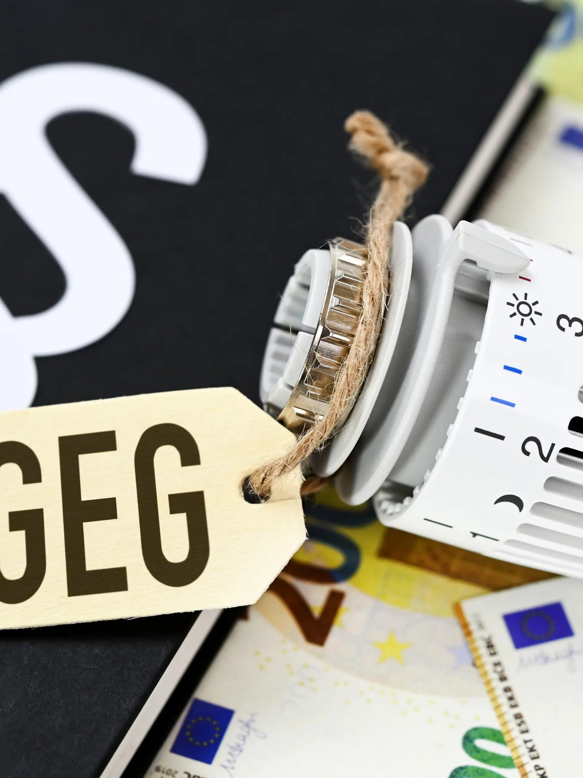 Heizungsthermostat mit Etikett und Aufschrift GEG auf Gesetzbuch und Geldscheinen, Symbolfoto Heizungsgesetz / action press
