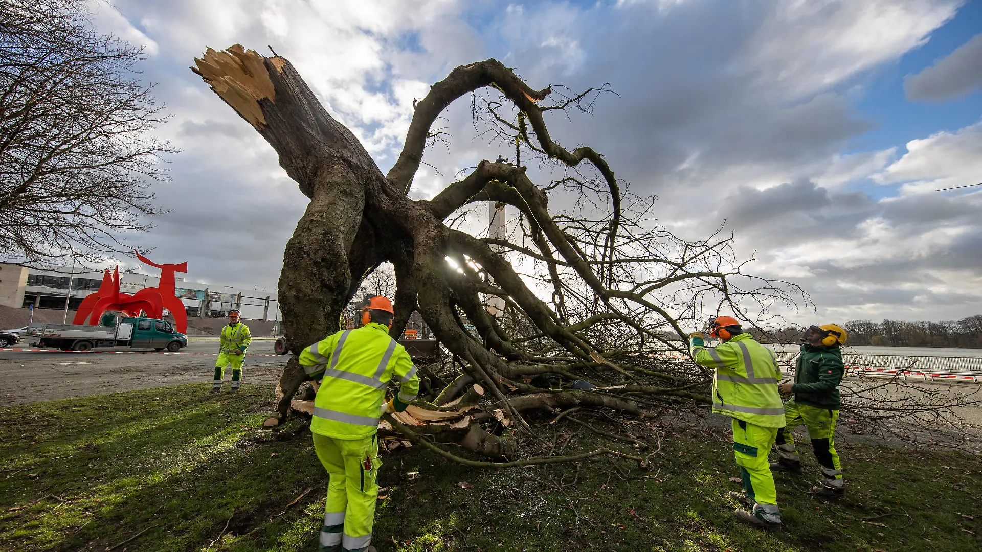 Niedersachsen, Hannover, Sturmtief Ylenia über Hannover, umgestürzter Baum am Maschsee, Sturm, Orkan,