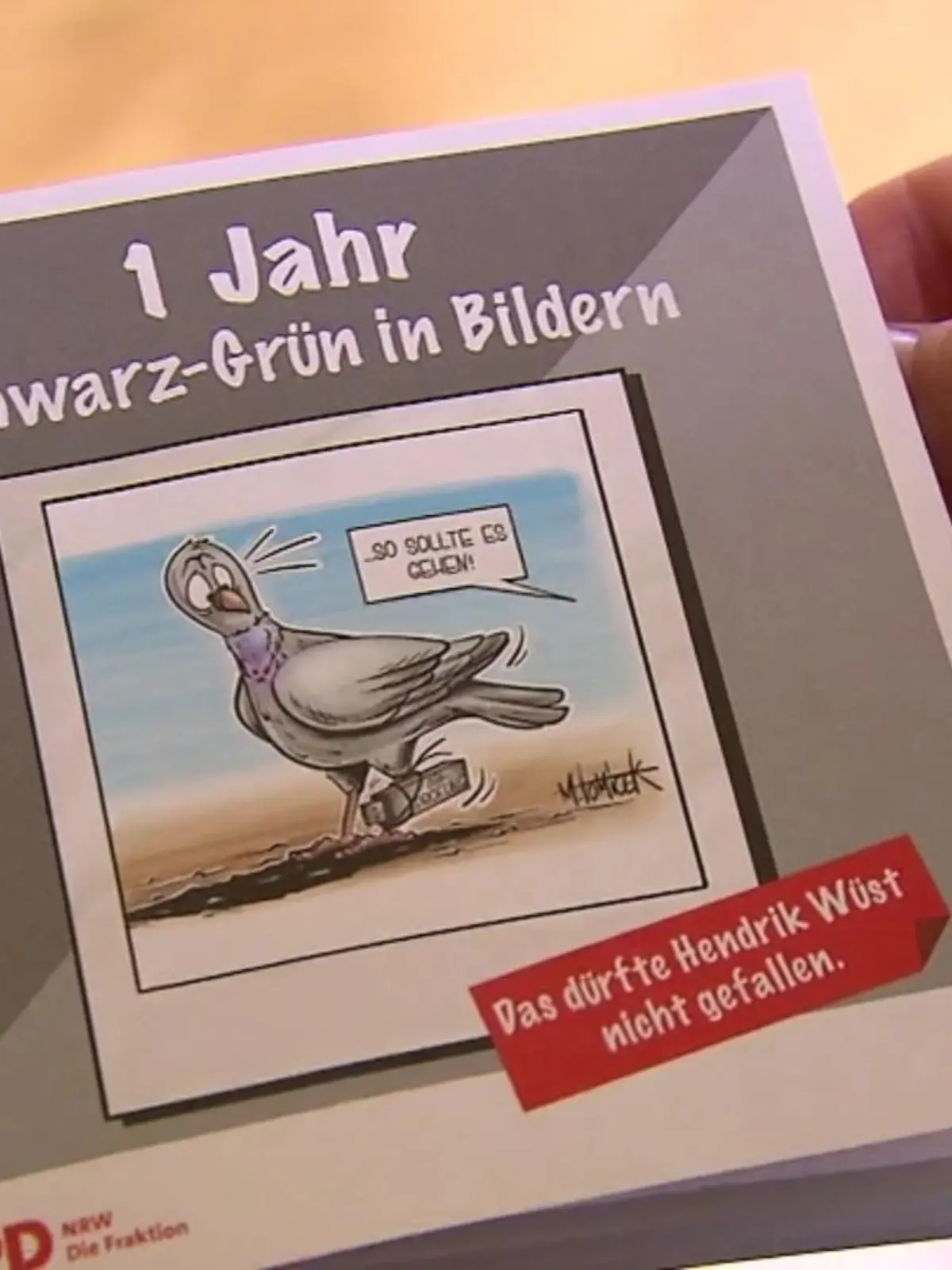 Bild zu: "Ein Jahr Schwarz-Grün in NRW"