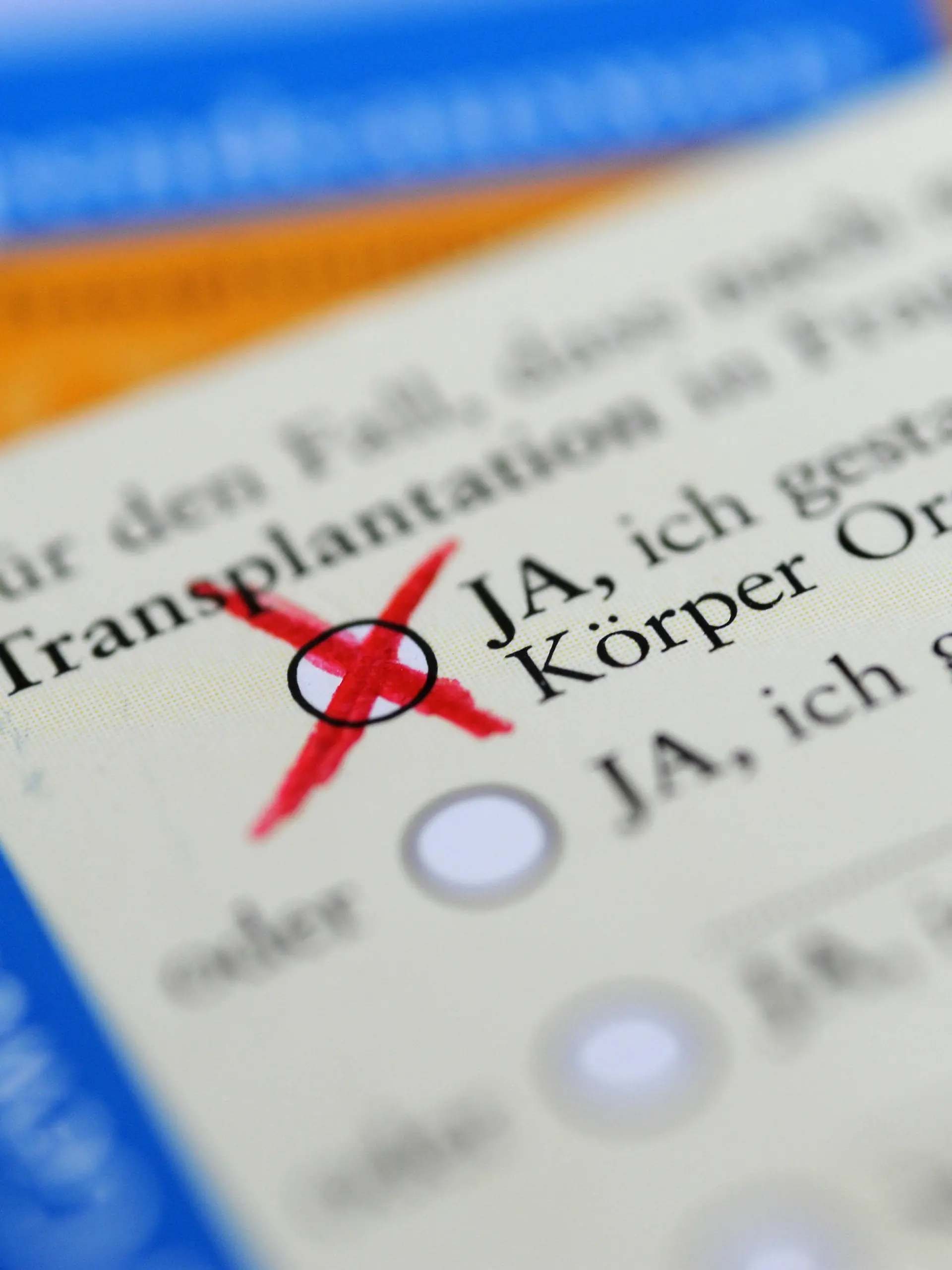 ARCHIV - 04.04.2019, Bayern, München: ILLUSTRATION - Die Rückseite eines ausgefüllten Organspendeausweises. Das Zustimmungsfeld ist angekreuzt. (zu dpa "Nur jeder Zweite hält Organspendesystem für gerecht") Foto: Marie Reichenbach/dpa +++ dpa-Bildfunk +++